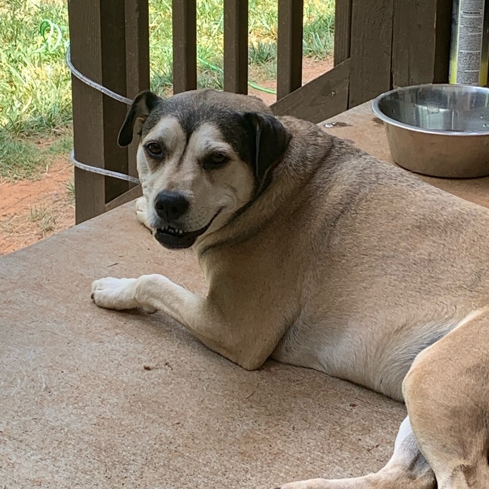 Meet your Posher, Victoria